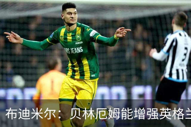 布迪米尔：贝林厄姆能增强英格兰实力 拉什福德总有关键表现